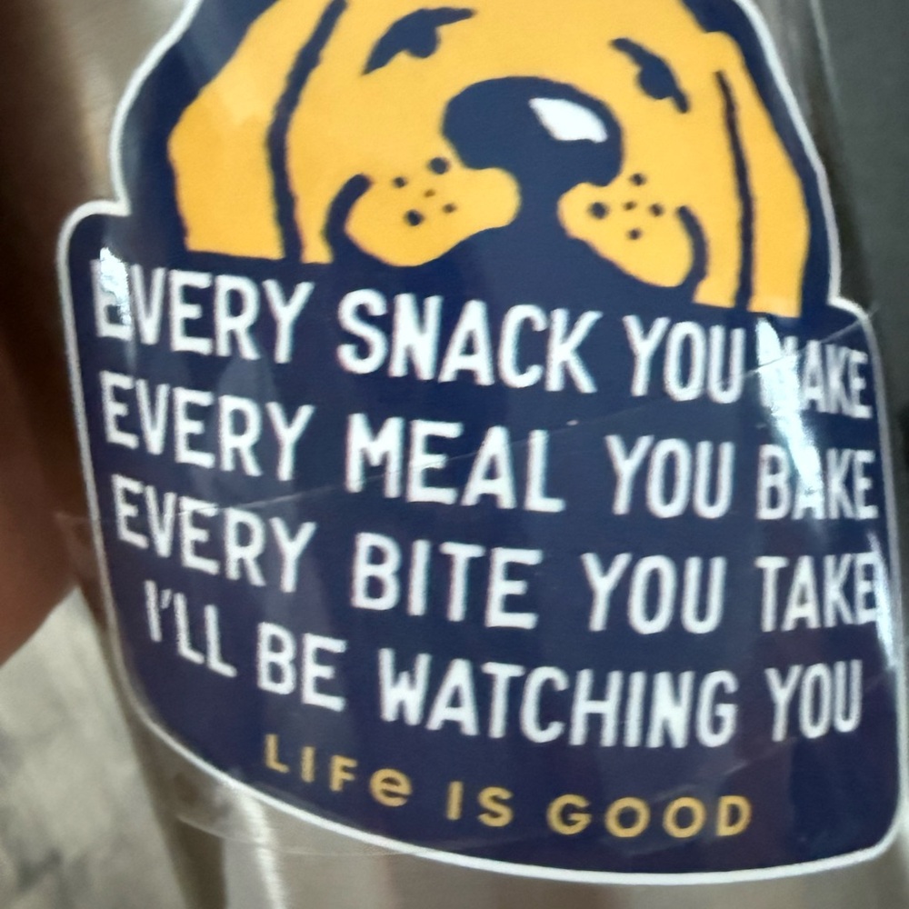 Life Is Good Stainless Steel Bottle with Dog stickers - Picture 4 of 9